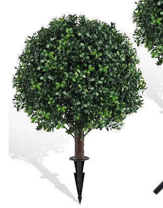 CODOHI Product 1